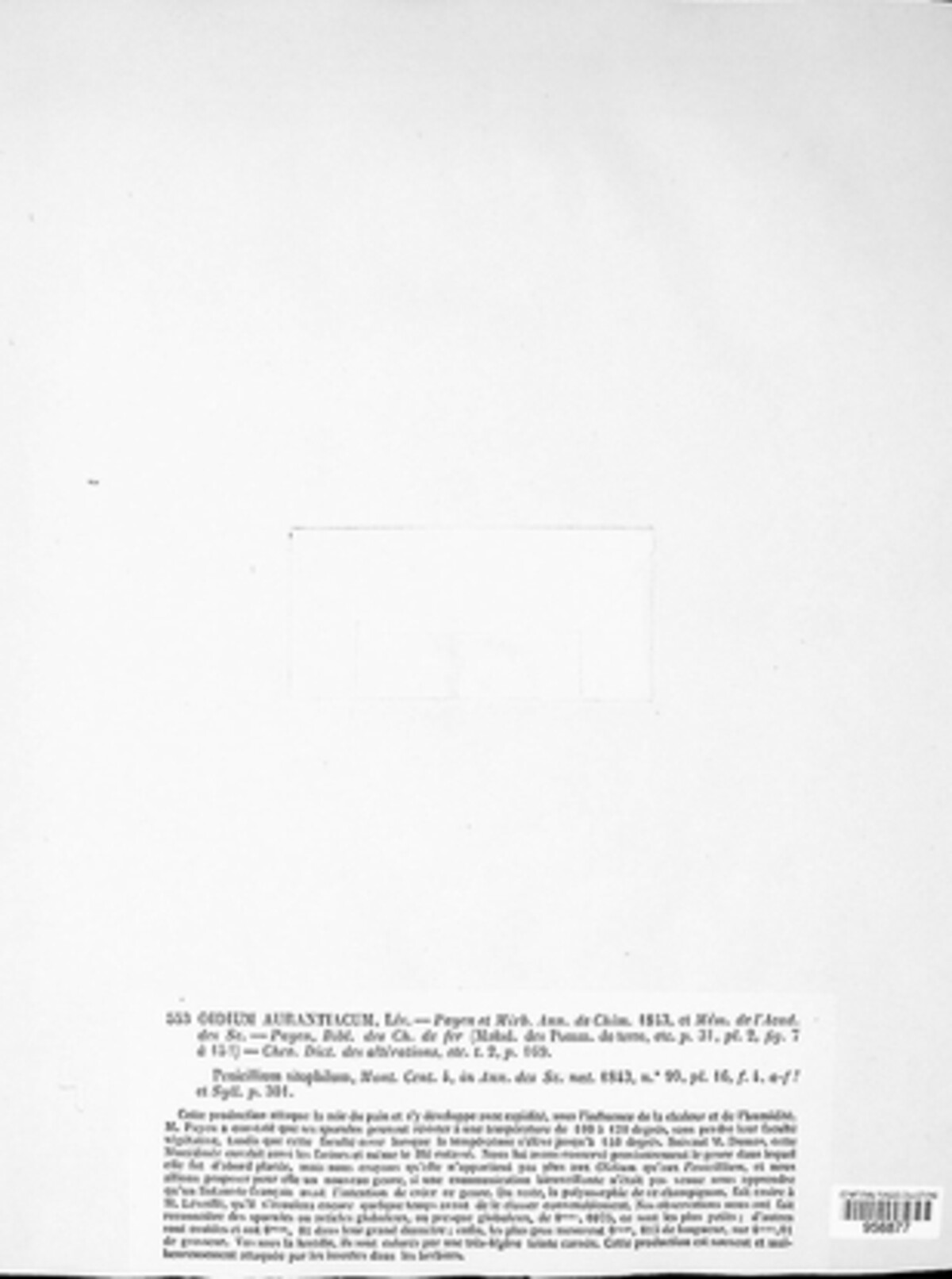 Neurospora sitophila image